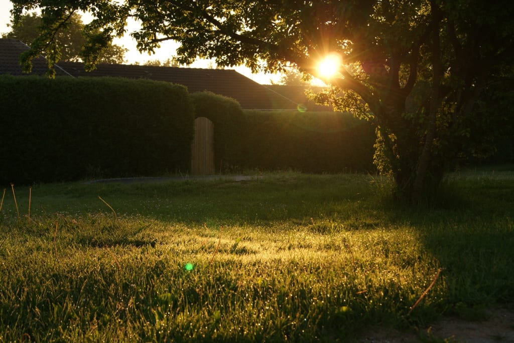 Tips for Revamping Your Prescott Backyard